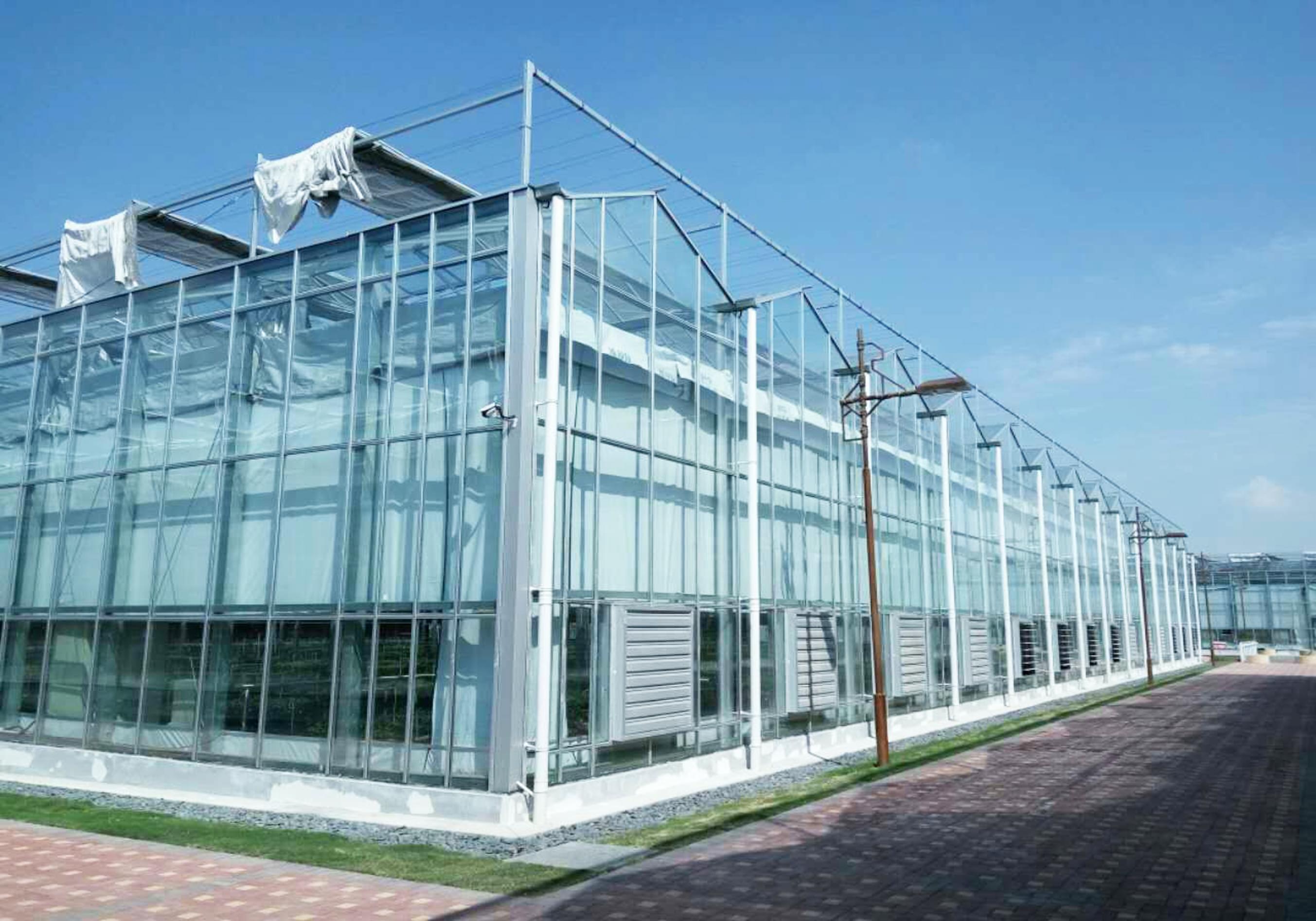 电力工程总承包